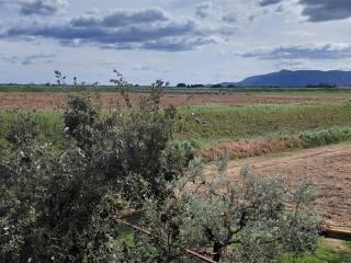 Rustico, buono stato, 260 m², Orbetello — foto 25 di 35