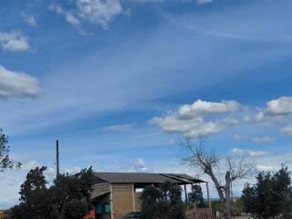 Rustico, buono stato, 260 m², Orbetello — foto 26 di 35