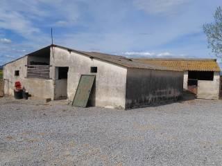 Rustico, buono stato, 260 m², Orbetello — foto 2 di 35