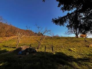 Villa unifamiliare via Dogana, Cicogni, Alta Val Tidone — foto 36 di 43