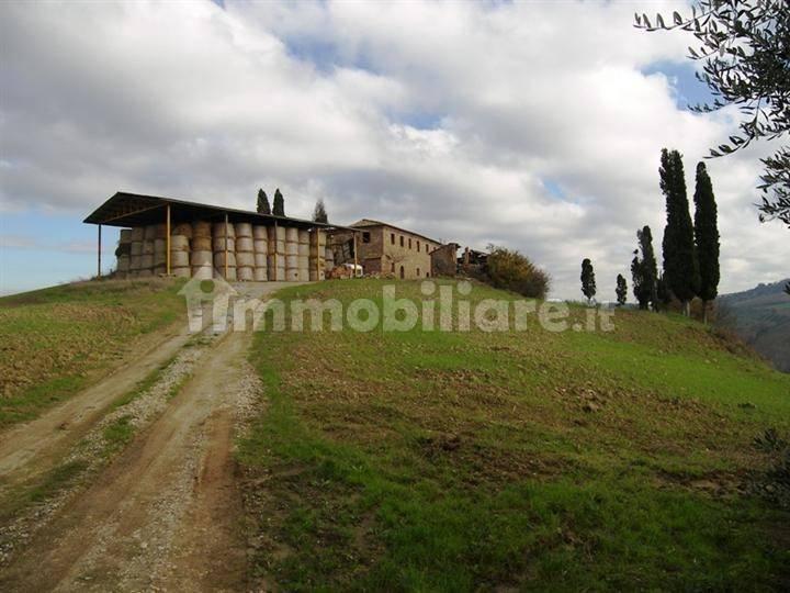 Loft 1500 m², Torrita di Siena — foto 6 di 10