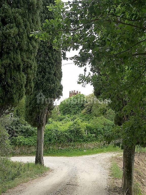 Loft 752 m², Montefollonico, Torrita di Siena — foto 8 di 12