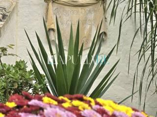 Appartamento via Alessio Comneno 31, Centro, Alessano — foto 68 di 79