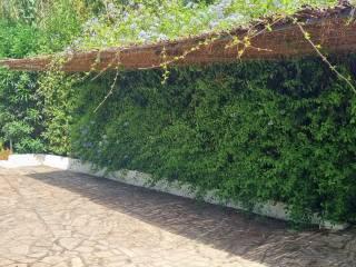 Quadrilocale via Gibraleon, Centro, San Felice Circeo — foto 8 di 25