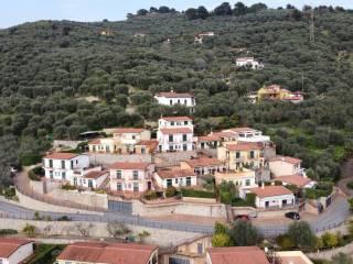 Bilocale Localita' Montin, Moltedo, Diano San Pietro — foto 20 di 24