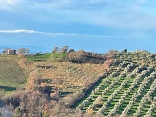 Quadrilocale Strada della Fattoria, Pomonte, Scansano — foto 38 di 43
