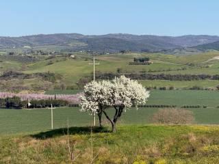 Quadrilocale Strada della Fattoria, Pomonte, Scansano — foto 12 di 43