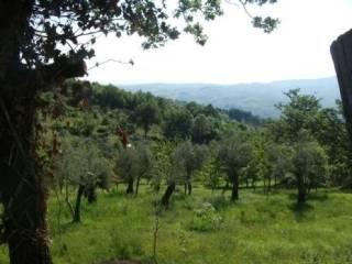 Villa unifamiliare Contrada Quercete, Montemarano — foto 6 di 7