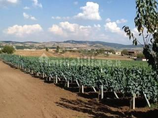 Terratetto unifamiliare via Cappelluccia 110/5, Centro, Atella — foto 13 di 16