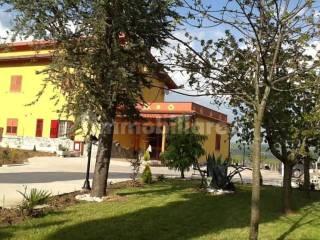 Terratetto unifamiliare via Cappelluccia 110/5, Centro, Atella — foto 14 di 16
