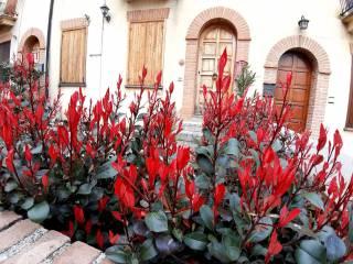 Bilocale via Località Montazzolino 4, Località Montazzolino, Montefortino — foto 12 di 18