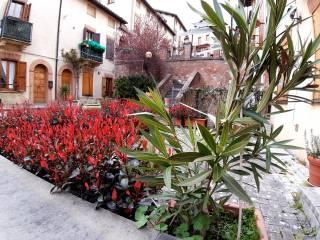 Bilocale via Località Montazzolino 4, Località Montazzolino, Montefortino — foto 6 di 18