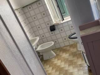 Trilocale Strada Provinciale di Calcinaia, Luscignano, Casola in Lunigiana — foto 13 di 13