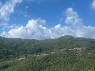 Trilocale Strada Provinciale di Calcinaia, Luscignano, Casola in Lunigiana — foto 11 di 13