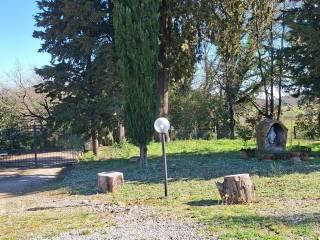 Casale Strada Vicinale dei Lupaioli, Campagnatico — foto 35 di 110