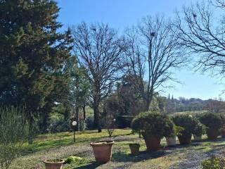 Casale Strada Vicinale dei Lupaioli, Campagnatico — foto 97 di 110