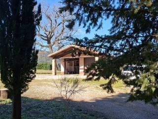 Casale Strada Vicinale dei Lupaioli, Campagnatico — foto 18 di 110