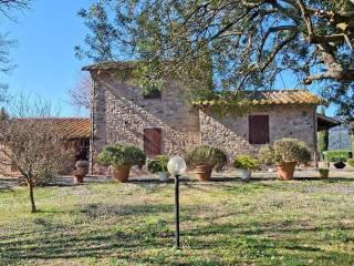 Casale Strada Vicinale dei Lupaioli, Campagnatico — foto 22 di 110