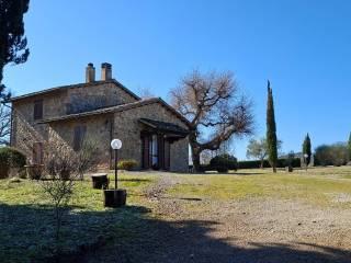 Casale Strada Vicinale dei Lupaioli, Campagnatico — foto 38 di 110