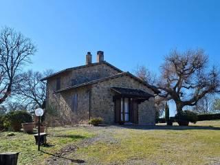Casale Strada Vicinale dei Lupaioli, Campagnatico — foto 11 di 110