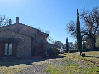 Casale Strada Vicinale dei Lupaioli, Campagnatico — foto 50 di 110