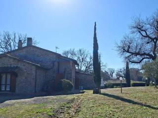 Casale Strada Vicinale dei Lupaioli, Campagnatico — foto 34 di 110