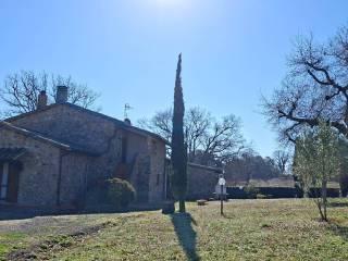 Casale Strada Vicinale dei Lupaioli, Campagnatico — foto 94 di 110
