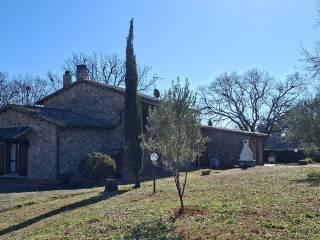 Casale Strada Vicinale dei Lupaioli, Campagnatico — foto 14 di 110
