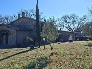 Casale Strada Vicinale dei Lupaioli, Campagnatico — foto 67 di 110