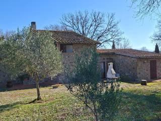 Casale Strada Vicinale dei Lupaioli, Campagnatico — foto 83 di 110