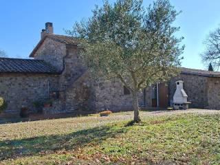 Casale Strada Vicinale dei Lupaioli, Campagnatico — foto 78 di 110