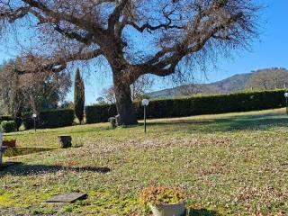 Casale Strada Vicinale dei Lupaioli, Campagnatico — foto 99 di 110