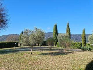 Casale Strada Vicinale dei Lupaioli, Campagnatico — foto 7 di 110