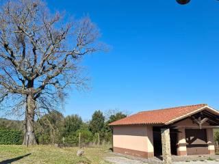 Casale Strada Vicinale dei Lupaioli, Campagnatico — foto 77 di 110