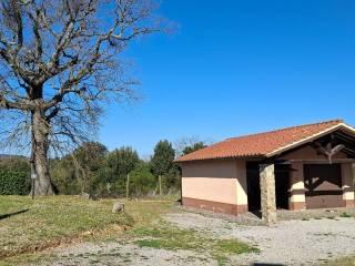 Casale Strada Vicinale dei Lupaioli, Campagnatico — foto 54 di 110