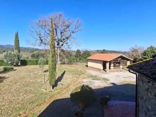 Casale Strada Vicinale dei Lupaioli, Campagnatico — foto 91 di 110