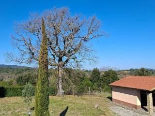 Casale Strada Vicinale dei Lupaioli, Campagnatico — foto 39 di 110