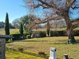 Casale Strada Vicinale dei Lupaioli, Campagnatico — foto 98 di 110