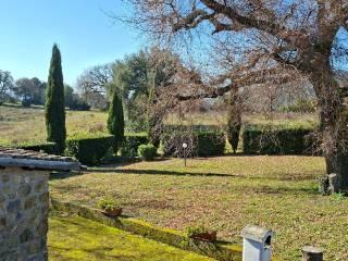 Casale Strada Vicinale dei Lupaioli, Campagnatico — foto 2 di 110