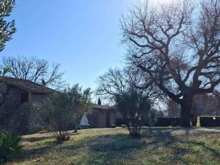 Casale Strada Vicinale dei Lupaioli, Campagnatico — foto 21 di 110