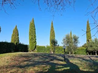 Casale Strada Vicinale dei Lupaioli, Campagnatico — foto 44 di 110