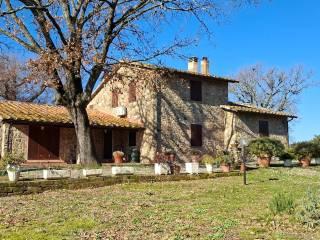 Casale Strada Vicinale dei Lupaioli, Campagnatico — foto 70 di 110