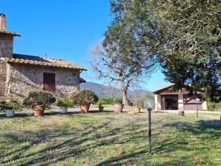 Casale Strada Vicinale dei Lupaioli, Campagnatico — foto 89 di 110
