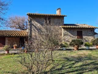 Casale Strada Vicinale dei Lupaioli, Campagnatico — foto 23 di 110