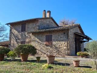 Casale Strada Vicinale dei Lupaioli, Campagnatico — foto 27 di 110