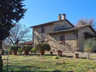 Casale Strada Vicinale dei Lupaioli, Campagnatico — foto 40 di 110