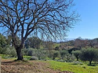 Casale Strada Vicinale dei Lupaioli, Campagnatico — foto 45 di 110