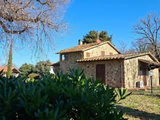 Casale Strada Vicinale dei Lupaioli, Campagnatico — foto 24 di 110