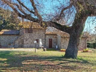 Casale Strada Vicinale dei Lupaioli, Campagnatico — foto 41 di 110