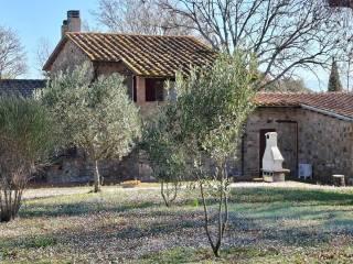 Casale Strada Vicinale dei Lupaioli, Campagnatico — foto 57 di 110